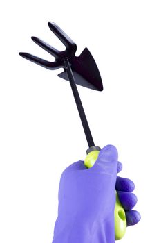 Hand in glove with garden tool on white background