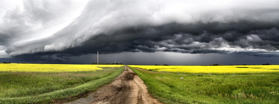 Storm Clouds Saskatchewan shelf cloud ominous warning