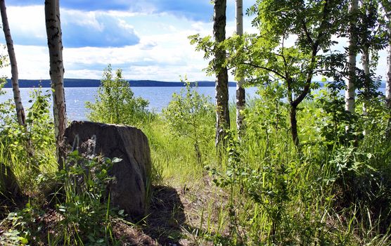 The shore of a lake in summer with green grass and trees