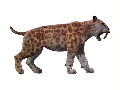 The Saber-toothed Tiger lived worldwide in the Eocene to the end of the Pleistocene Periods.