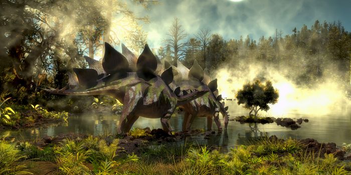 Stegosaurus dinosaurs come down to a marsh for a drink of water in the Jurassic Period of North America.