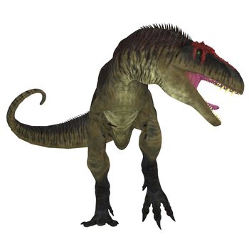 Tyrannotitan was a carnivorous theropod dinosaur the lived in Argentina in the Cretaceous Period.