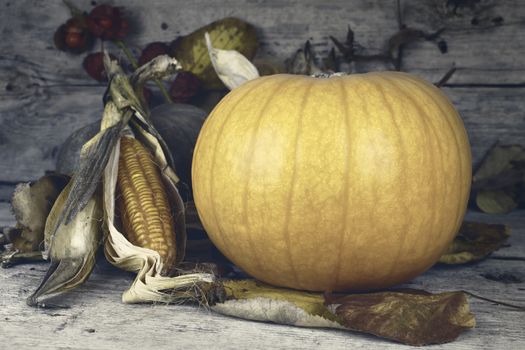 Happy Thanksgiving Day, Decoration on a wooden table with Pumpkins, Corncob and autumn leaves