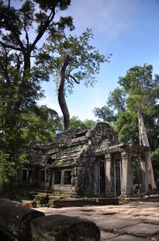 Classical picture of Ta Prohm Temple, Angkor, Cambodia