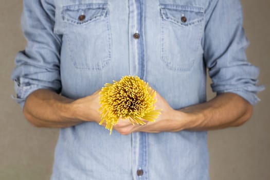 Handful of uncooked spaghetti. Closeup of man in blue jeans shirt holds bunch of italian pasta