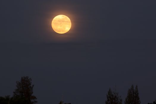 Full moon super moon in November 14, 2016 in Thailand