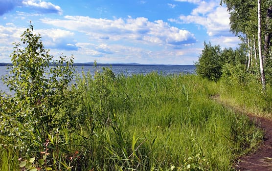 The shore of a lake in summer with green grass and trees