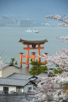 red gate at miyajima with cherry blossom