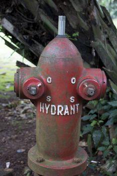 Red fire hydrants on the nature grass land
