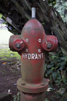 Red fire hydrants on the nature grass land