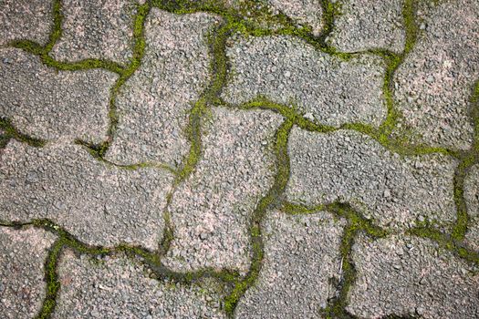 Grass Stone Floor texture pavement design with moss