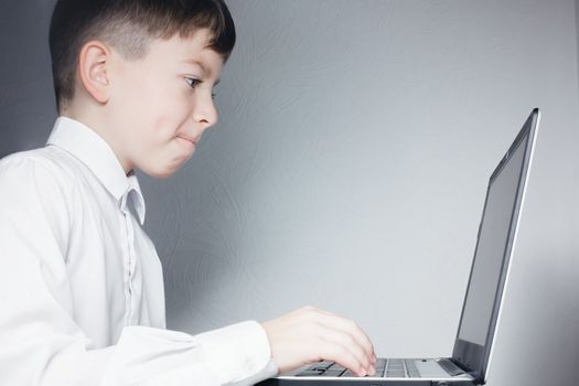 Schoolboy in white shirt diligently looks at the laptop screen on a gray background