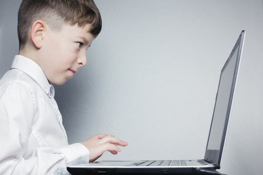Schoolboy in white shirt diligently looks at the laptop screen on a gray background