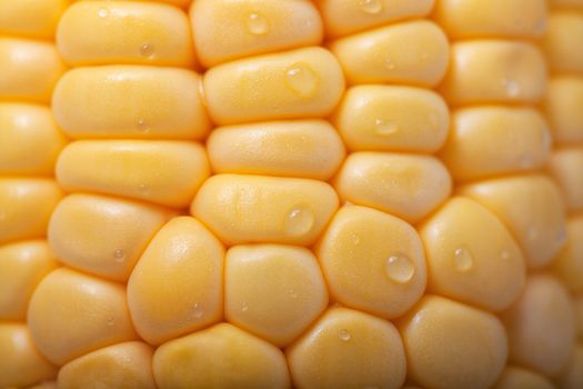 Pattern of fresh healthy yellow sweet corn