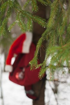 Red backpack hanging on the tree, Santa hat and a red ball, fir tree, symbols of Christmas