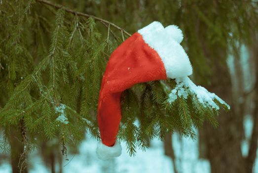 Red Santa hat, the Christmas tree in the winter forest, copyspace, happy winter holidays