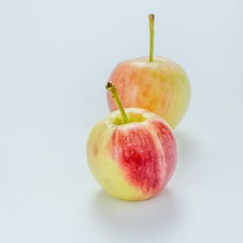 Red and yellow apple  , organic fresh fruit.