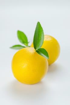ripe orange with leaves on white background