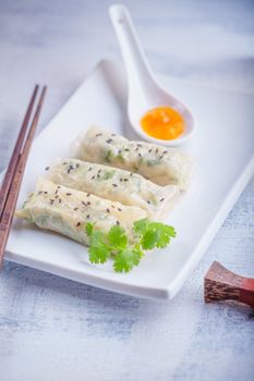 Spring Rolls with Sauce served on the plate.