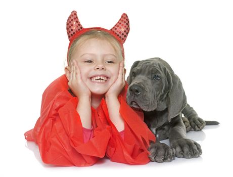 puppy great dane and child in front of white background