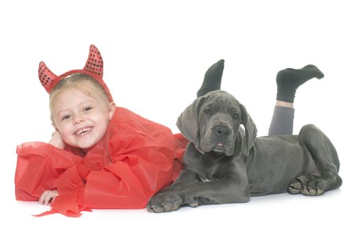 puppy great dane and child in front of white background