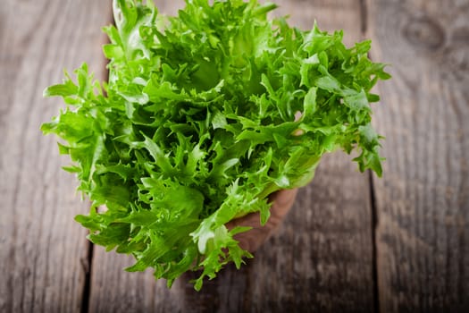 Fresh green lettuce on a wooden table.