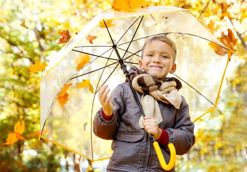 Smiling boy with umbrella and autumn foliage