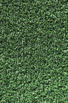 Artificial green Grass background