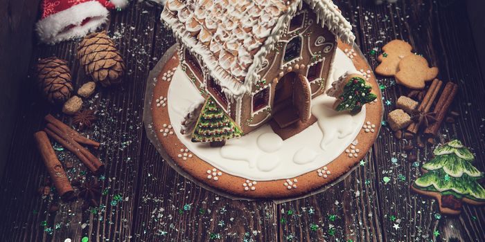 Homemade gingerbread house on dark background, xmas theme