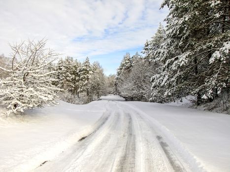 Pathway trough the Snowy Fields in Capital City of Lithuania