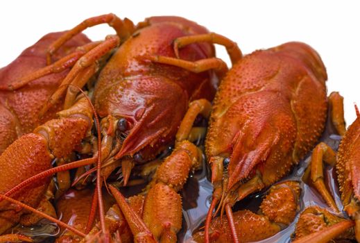 red boiled crawfish with strong shells tasty snack to beer