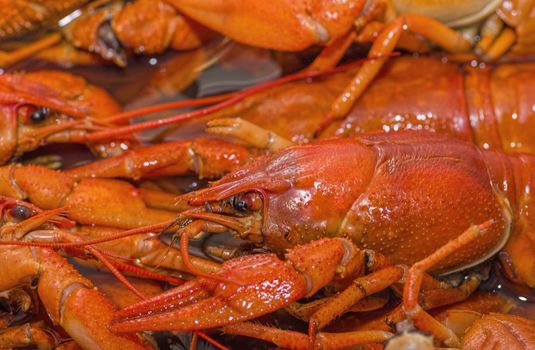 red boiled crawfish with strong shells tasty snack to beer