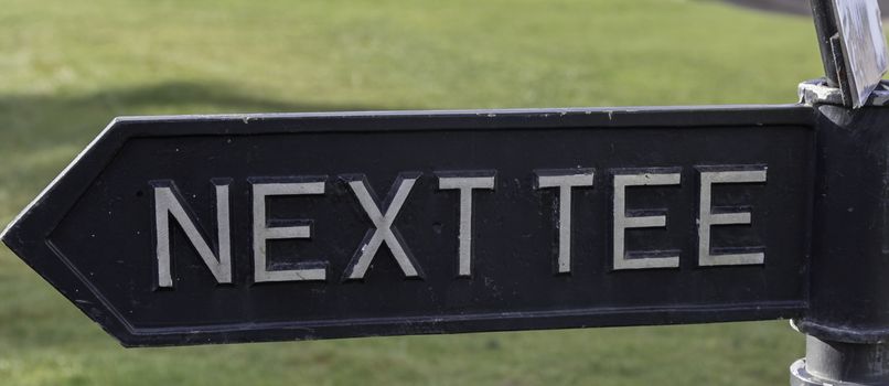 Next Tee Arrow with a green background.