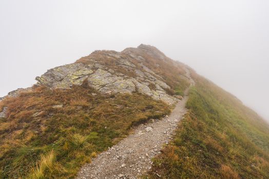 Hiking Trail on the Hill in the Mountains in the Mist