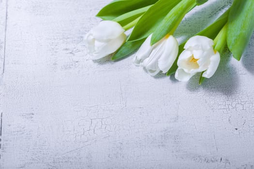 The bunch of white tulips on wooden table