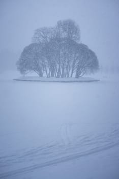 Winter park in the evening blizzard covered with snow and leading pathway via frozen lake to the isle with trees.