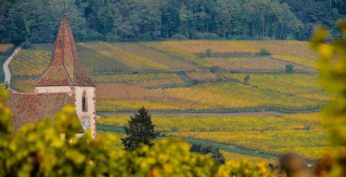 France, Haut-Rhin, 68, Route des vins d'Alsace, Hunawihr, labeled The Most Beautiful Villages of France, Church of Sainte-Hune