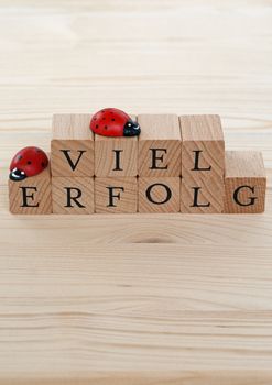 The german words for a lot of success (Viel Erfolg) and ladybugs on wood