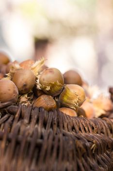 A basket of toasted hazelnuts inviting