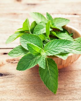 Closeup fresh growing peppermint leaves in bamboo bowl on shabby wooden background .Selective focus shallow depth of field .
