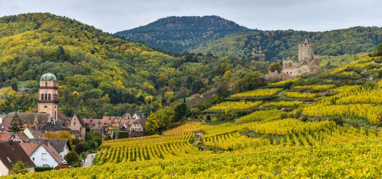 France, Haut-Rhin, 68, Alsace Wine Route, Kaysersberg, the vineyard, the Sainte-Croix church and the keep of the imperial castle