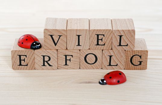 The german words for a lot of success (Viel Erfolg) and ladybugs on wood