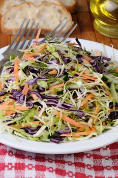 Salad   coleslaw red and white cabbage with carrots and cucumber