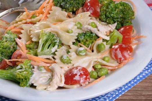 pasta salad with chicken, tomatoes, broccoli, green peas, carrots dressed with sour cream