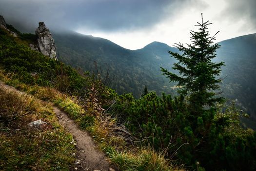 seasonal background Mountain trail in the dark mist
