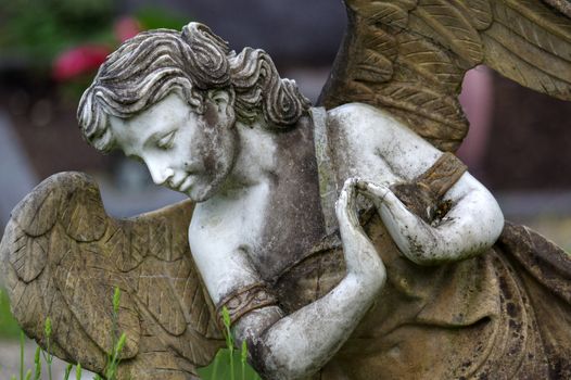 a little angel sculpture decorate in small garden