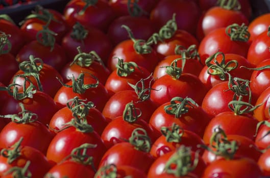 lot of ripe red tomatoes lie in a box