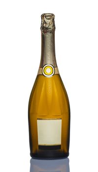 Closed bottle of champagne on a white background