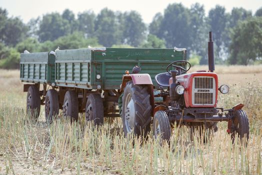 small tractor with trailer full of wheat grain