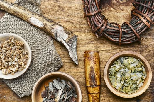 Medicinal herb in the wooden bowl and inula root